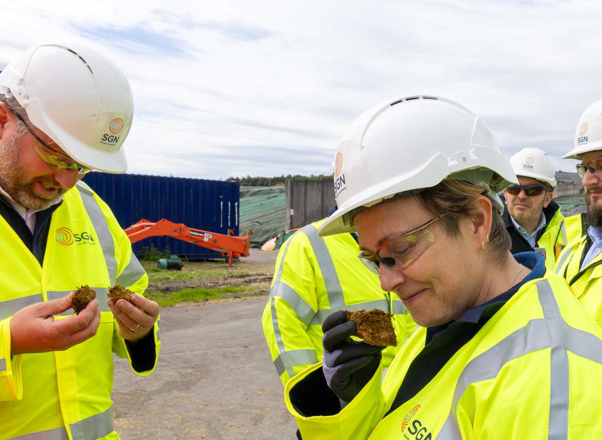 Explanation of what feeds into the production of biomethane